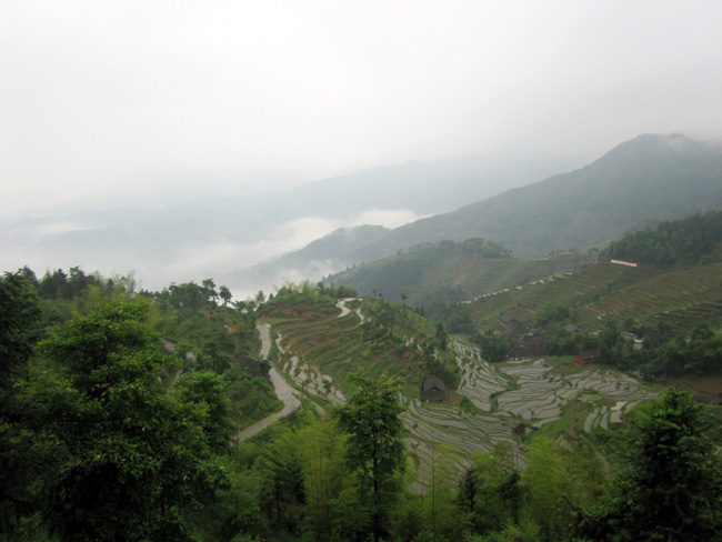 img_2585.jpg