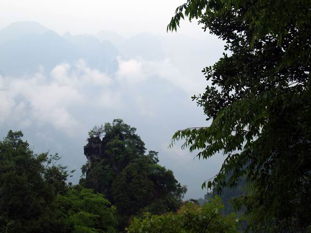 С p6048951.jpg