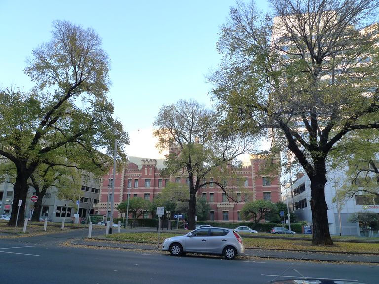 p1070711.jpg