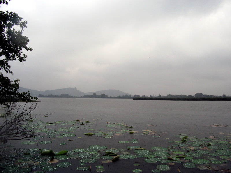 dscf1110.jpg