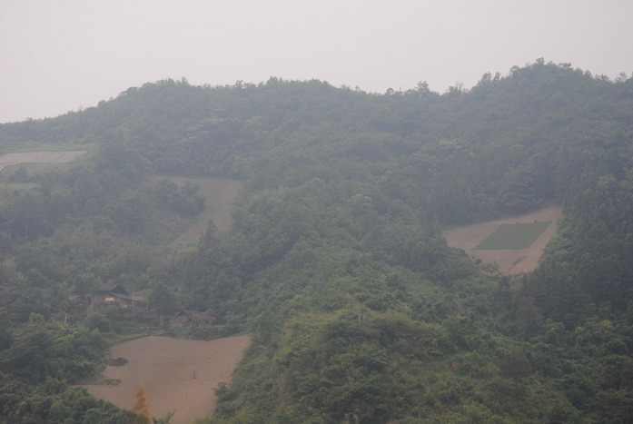 2011ɽϪ_287.jpg