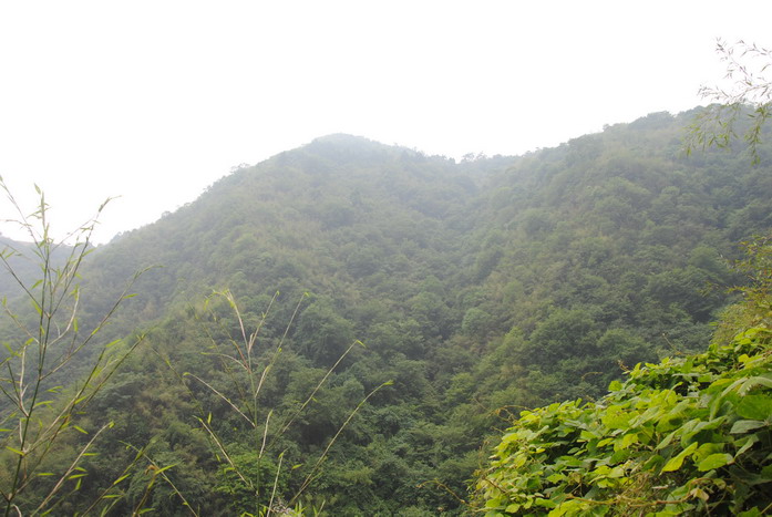 2011ɽϪ_292.jpg