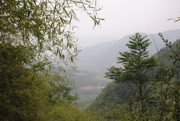 2011ɽϪ_293.jpg