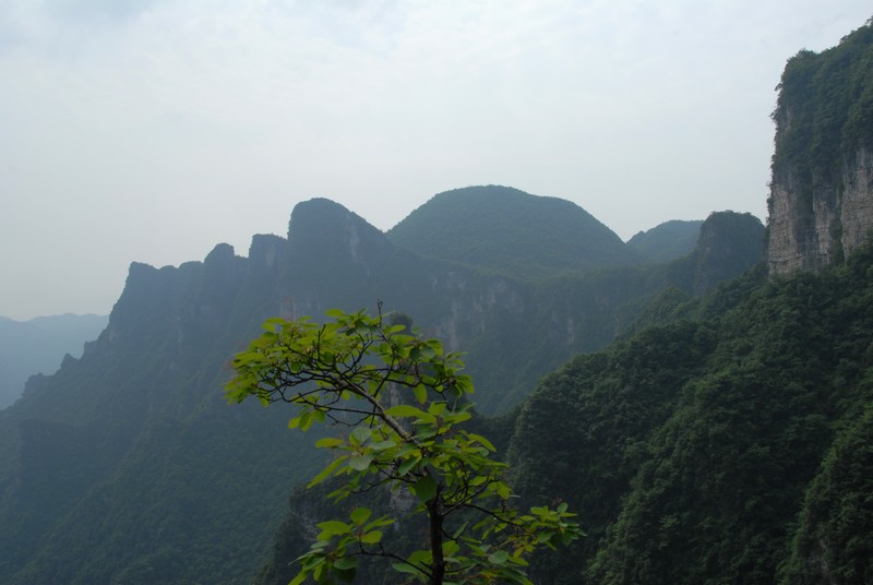 dsc_0059.jpg