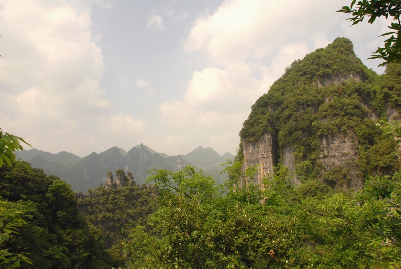 dsc_0172.jpg