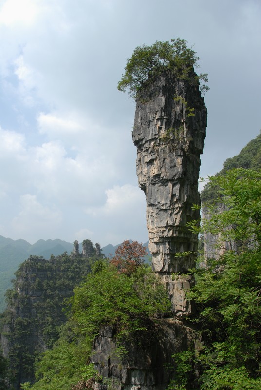 dsc_0191.jpg