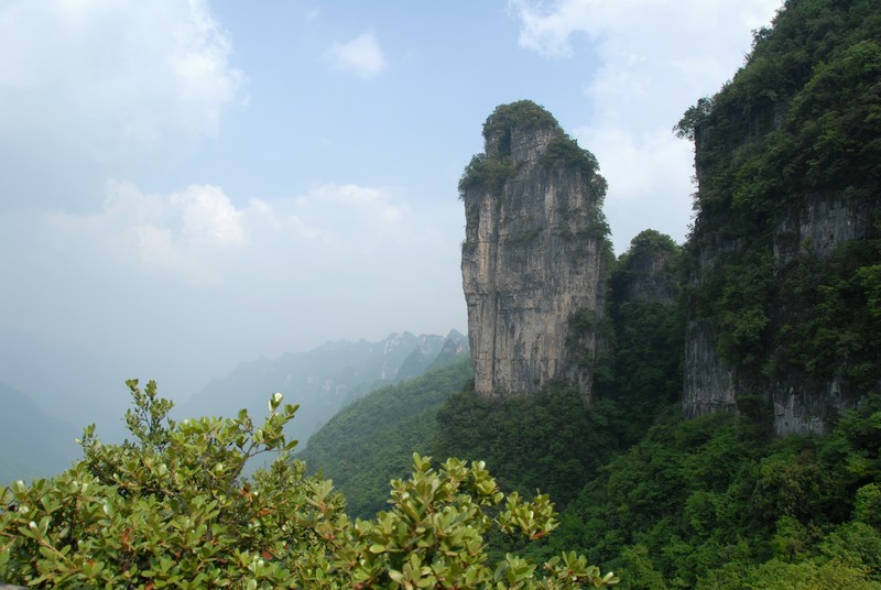 dsc_0207.jpg