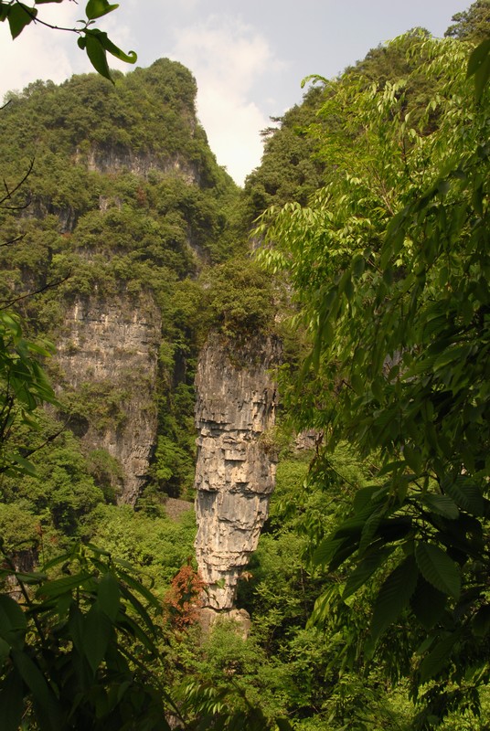 dsc_0179.jpg