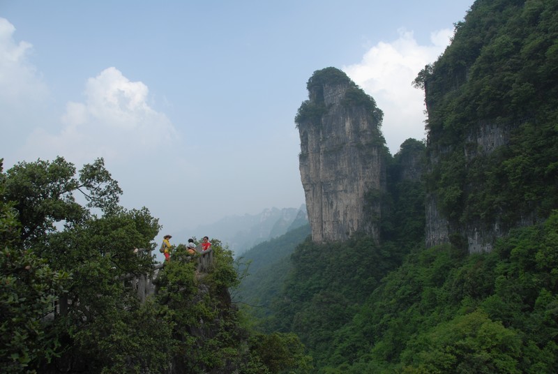 dsc_0242.jpg