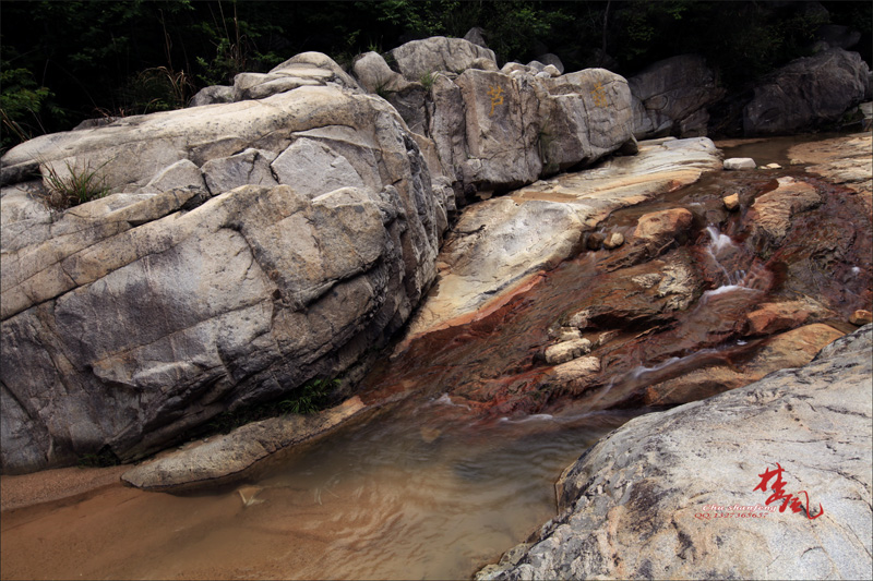 Ƭ 010.jpg