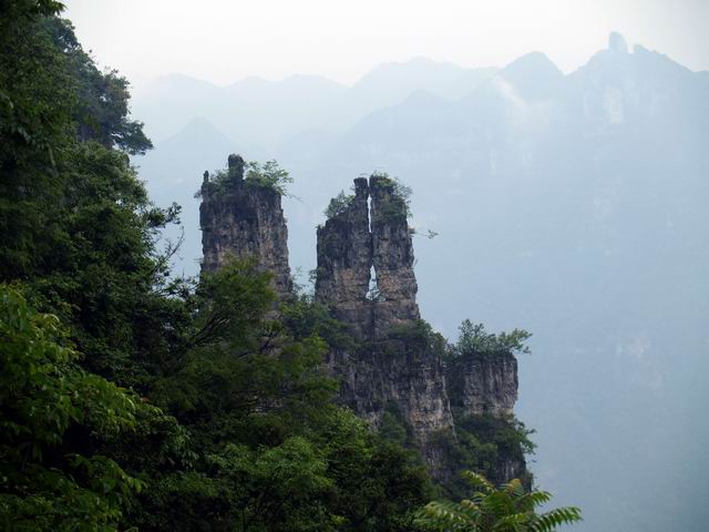 С p6048955.jpg