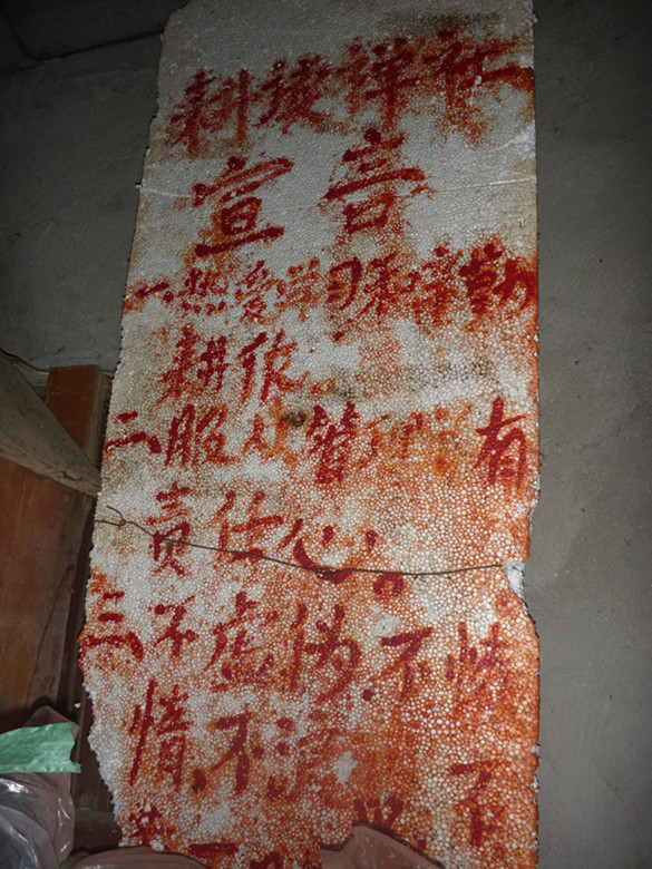 p1060910_.jpg