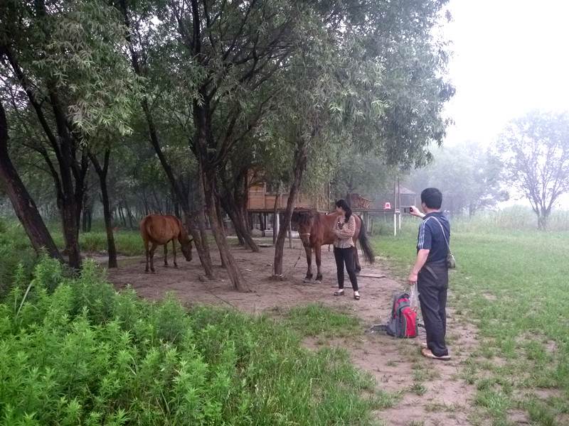 p1060927_.jpg