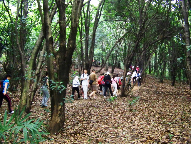 100_4590.jpg