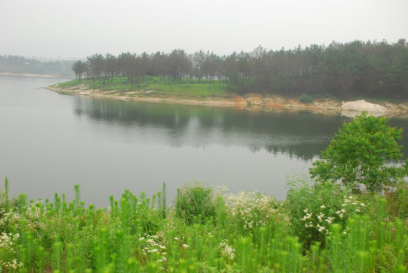 dsc_3393.jpg