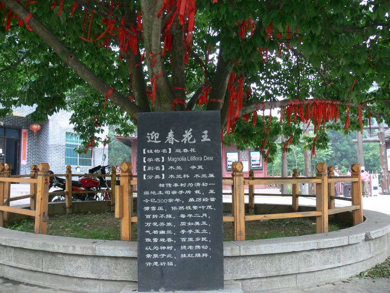 p1150452.jpg