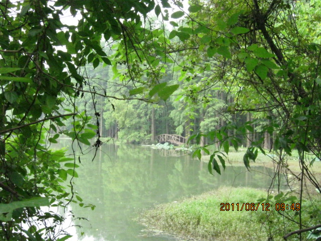 img_3372.jpg