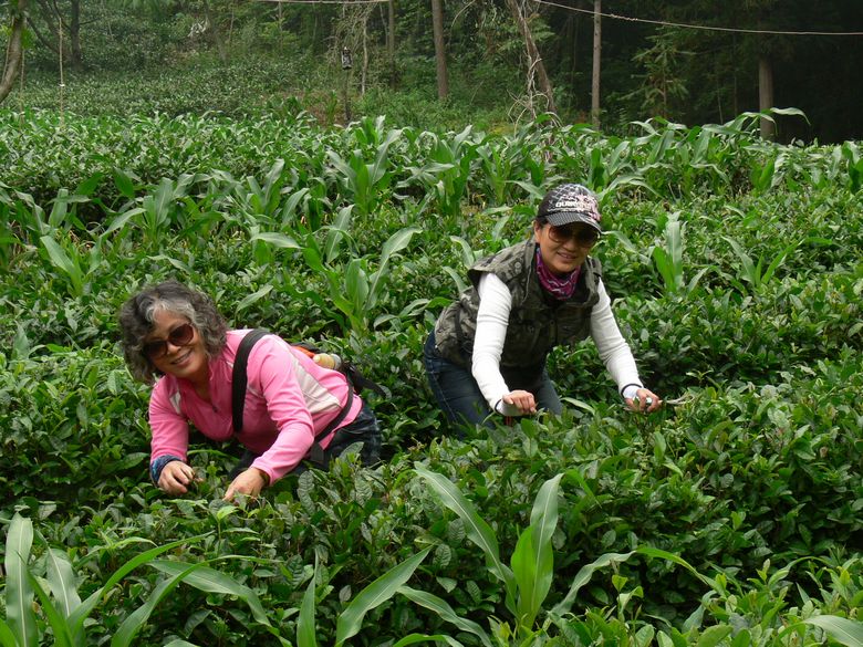 p1150417.jpg