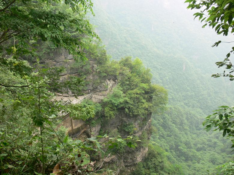 p1150424.jpg