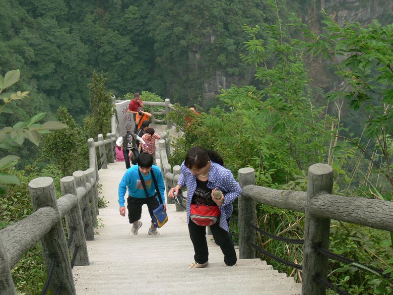 p1150442.jpg