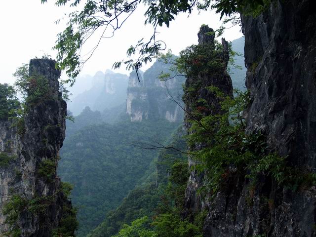С p6048967.jpg