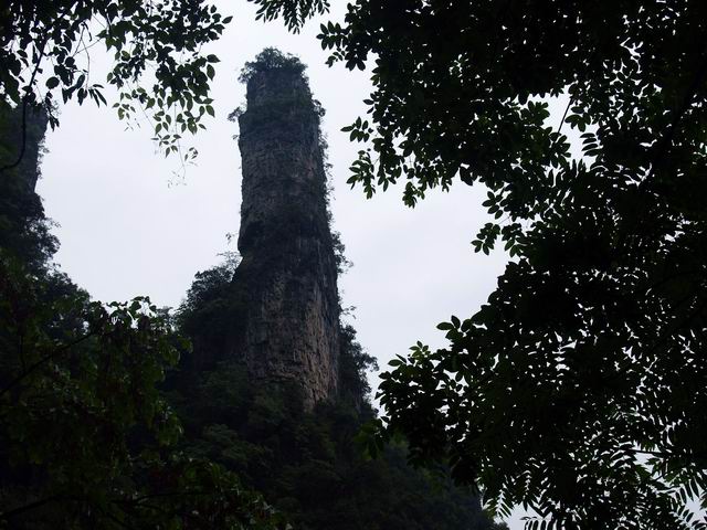 С p6048989.jpg