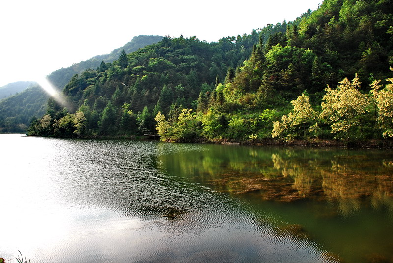 dsc_0050.jpg