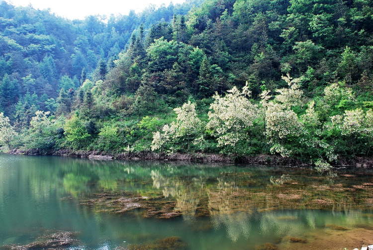 dsc_0066.jpg