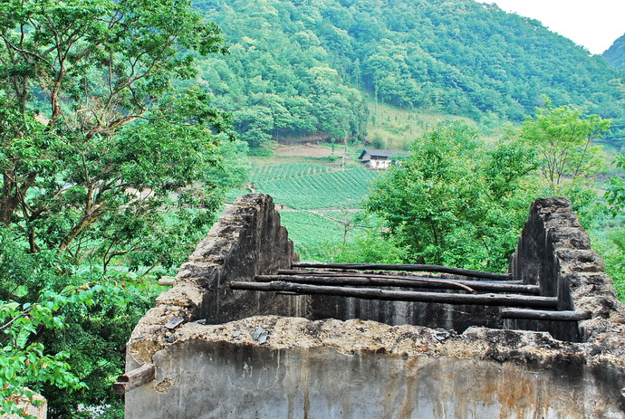 dsc_0072.jpg