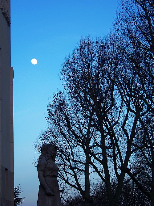 100_9582.jpg