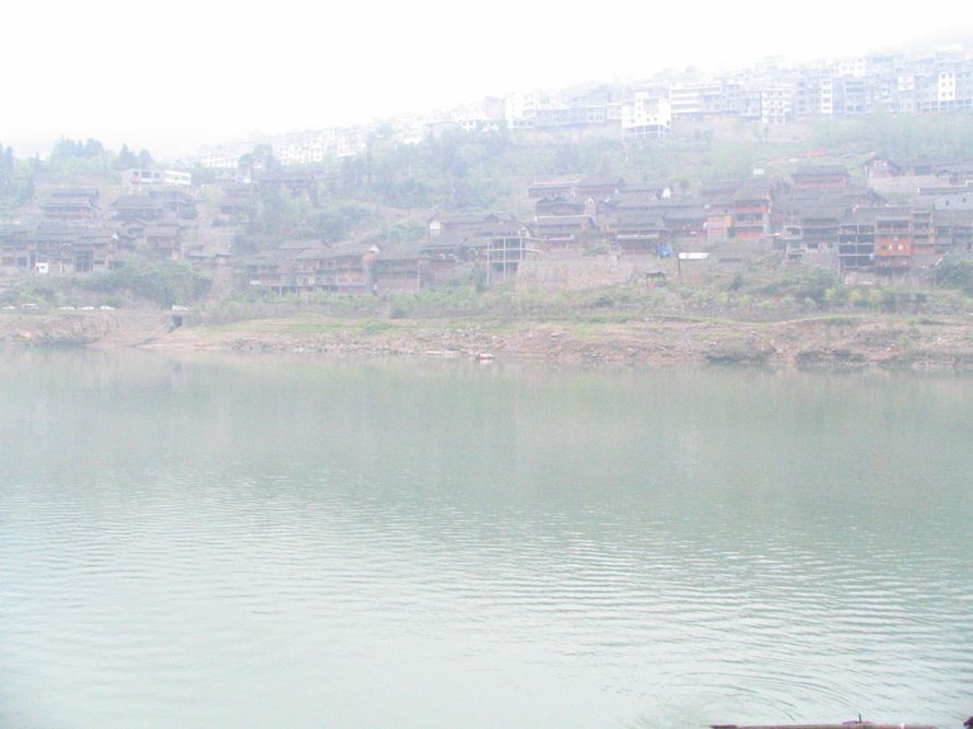 neo_img_img_0173.jpg