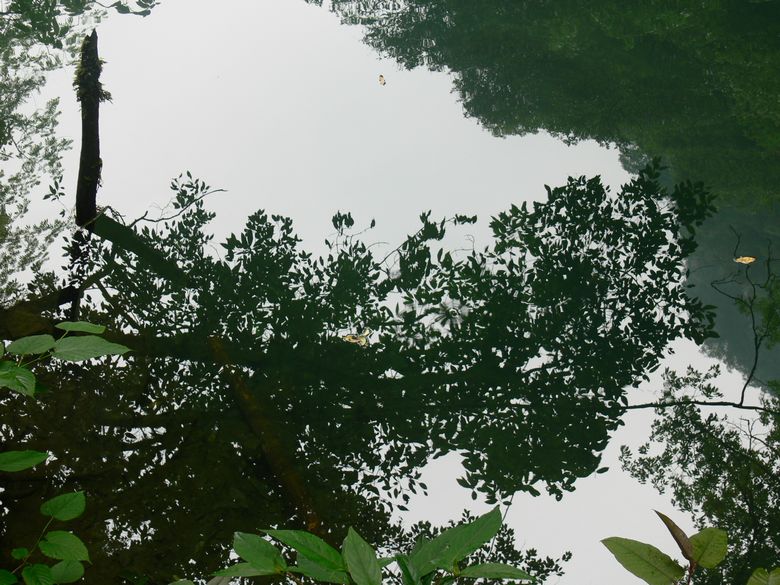 p1150493.jpg
