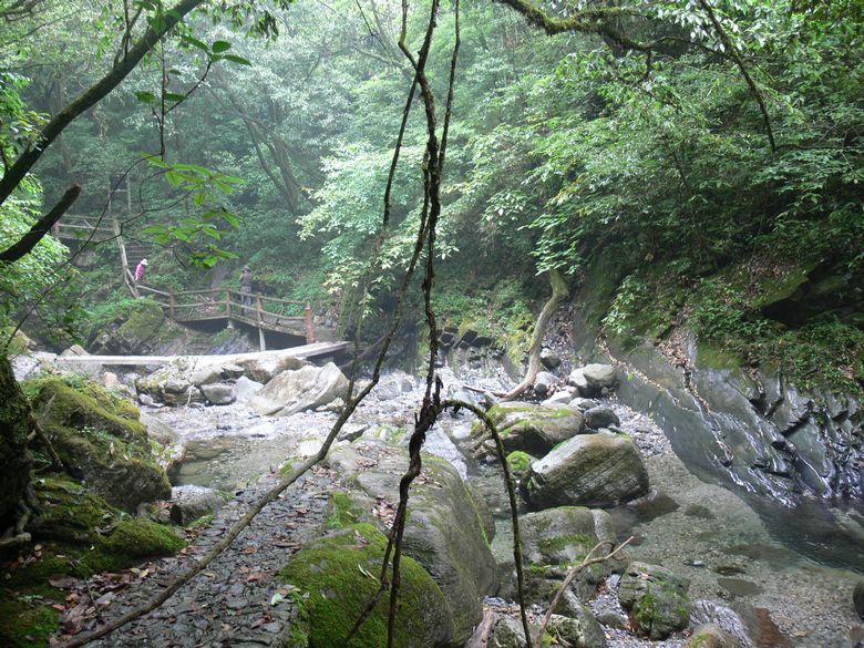 p1150510.jpg