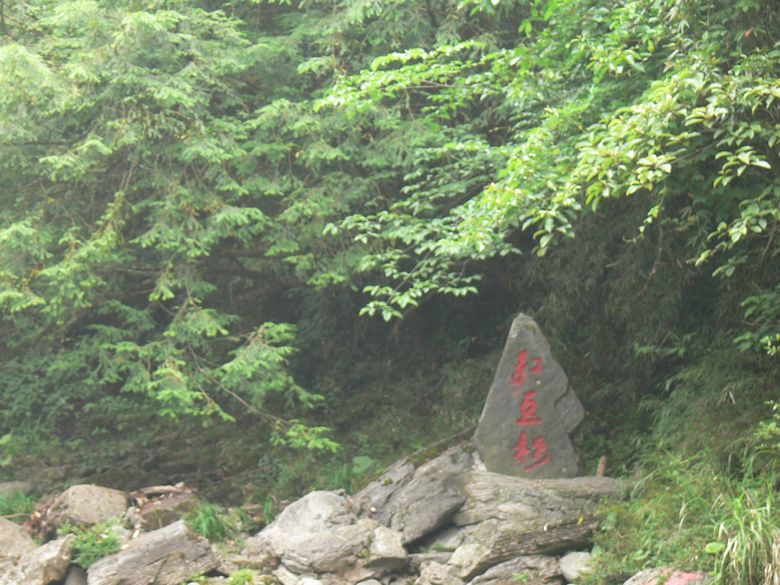 p1150469.jpg