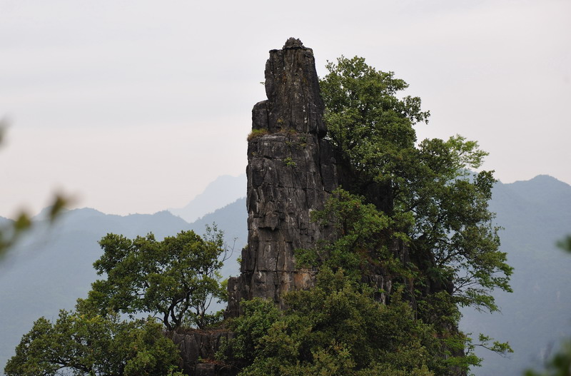 201106_211.jpg