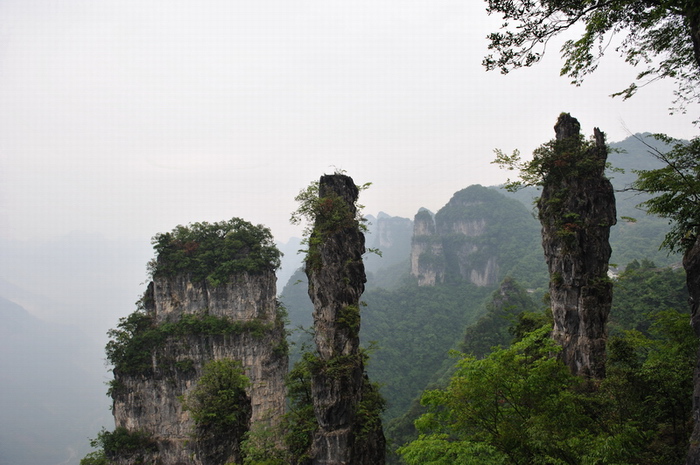 201106_100.jpg