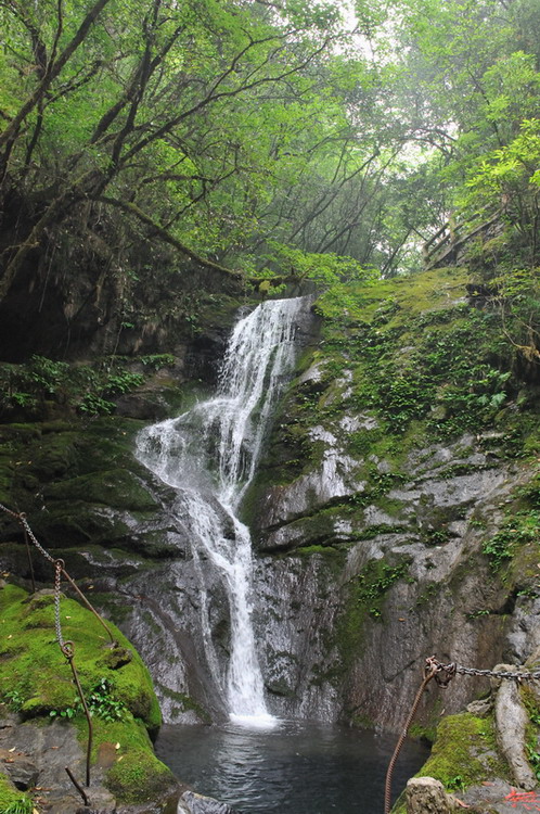 201106_4051.jpg
