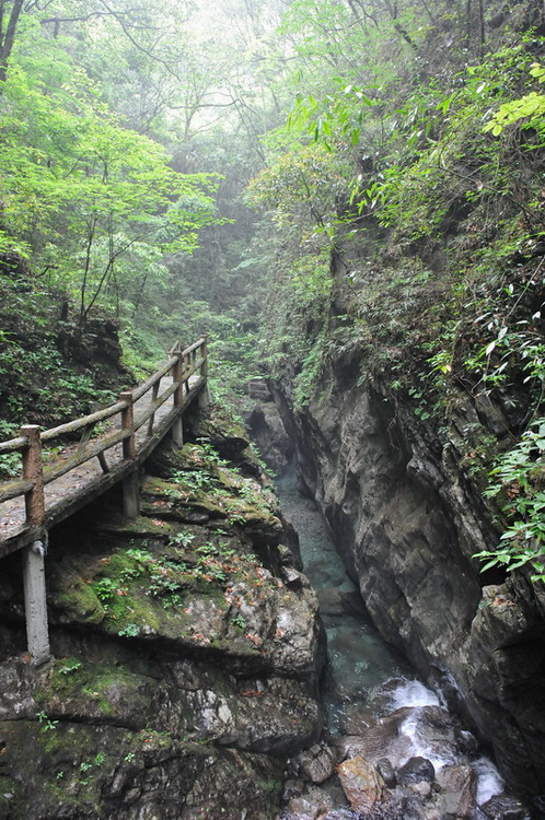201106_431.jpg