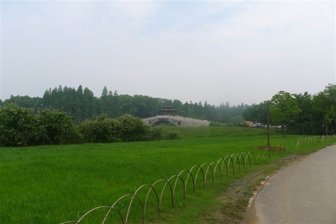δ139.jpg