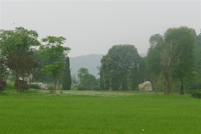 δ140.jpg
