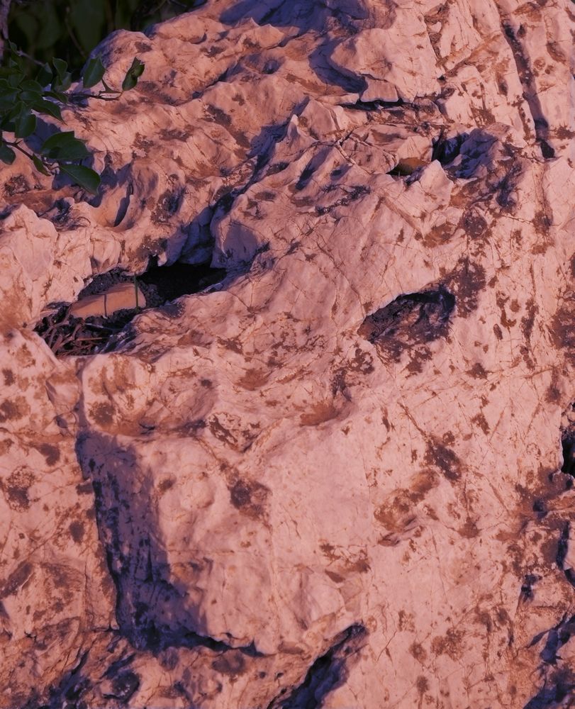 ʯͷ16.jpg