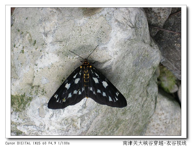 Ͻ20110604 223.jpg