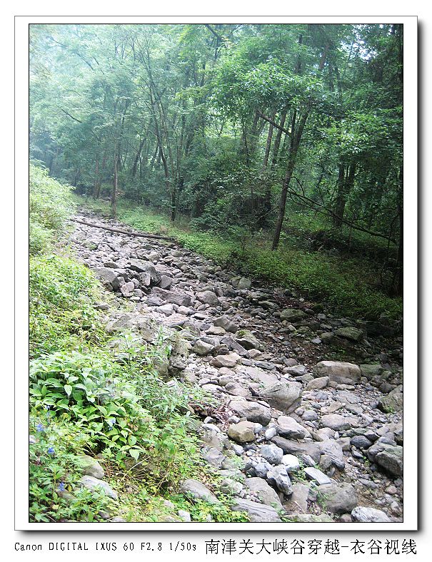 Ͻ20110604 225.jpg