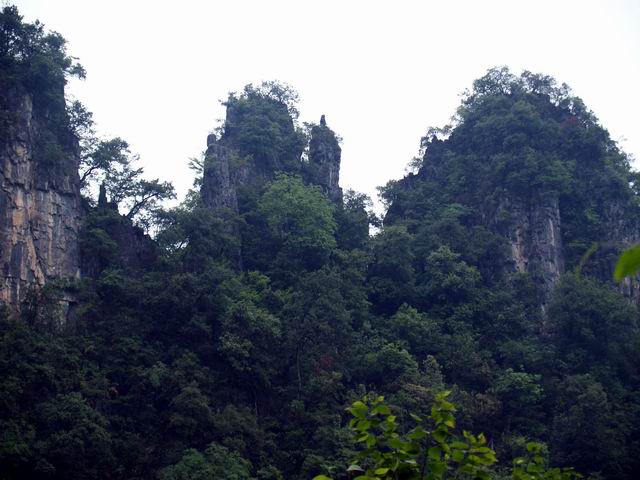 С p6048991.jpg