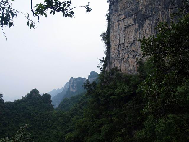 С p6049004.jpg