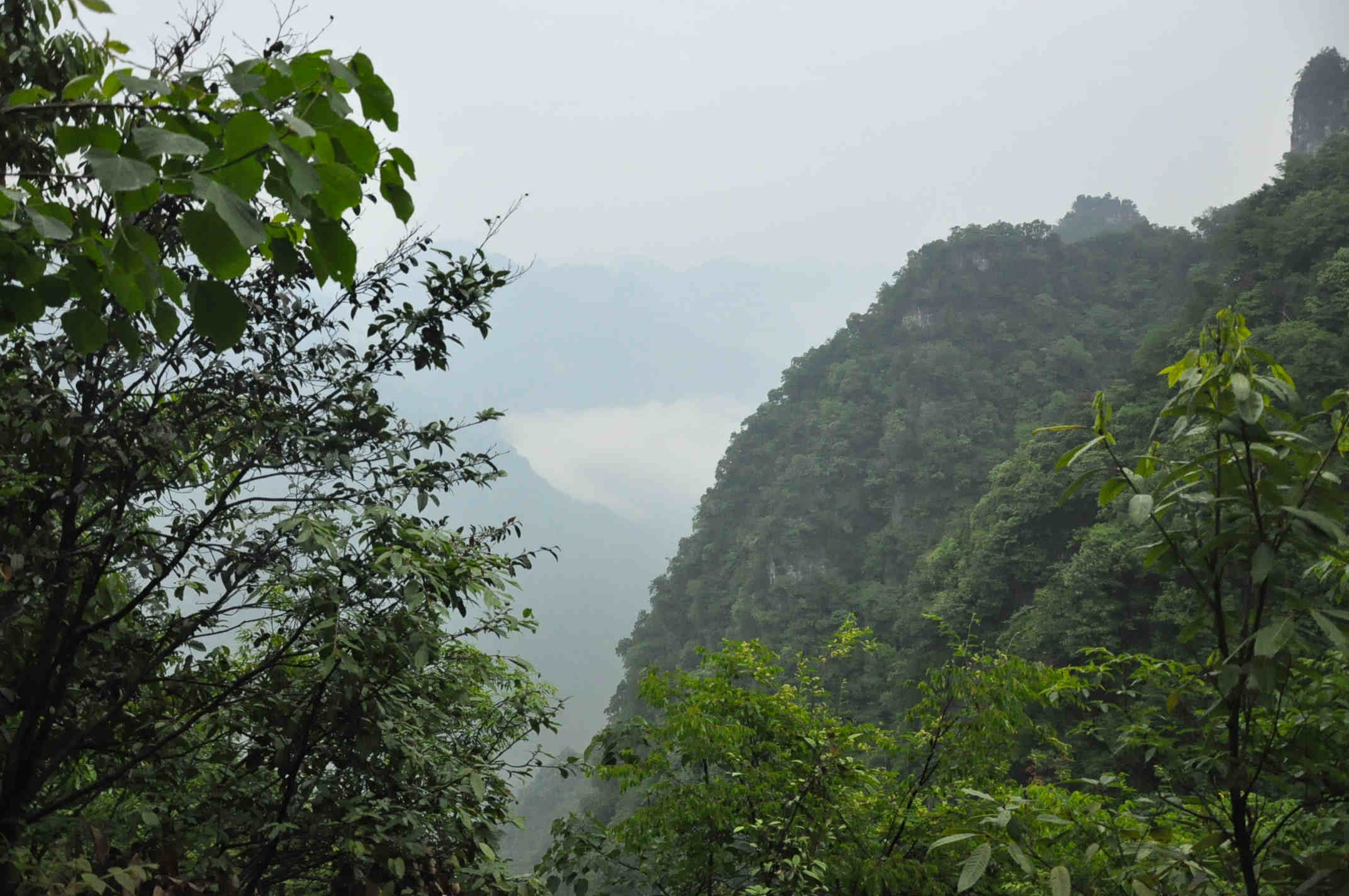 20116.4-6彭 018.jpg
