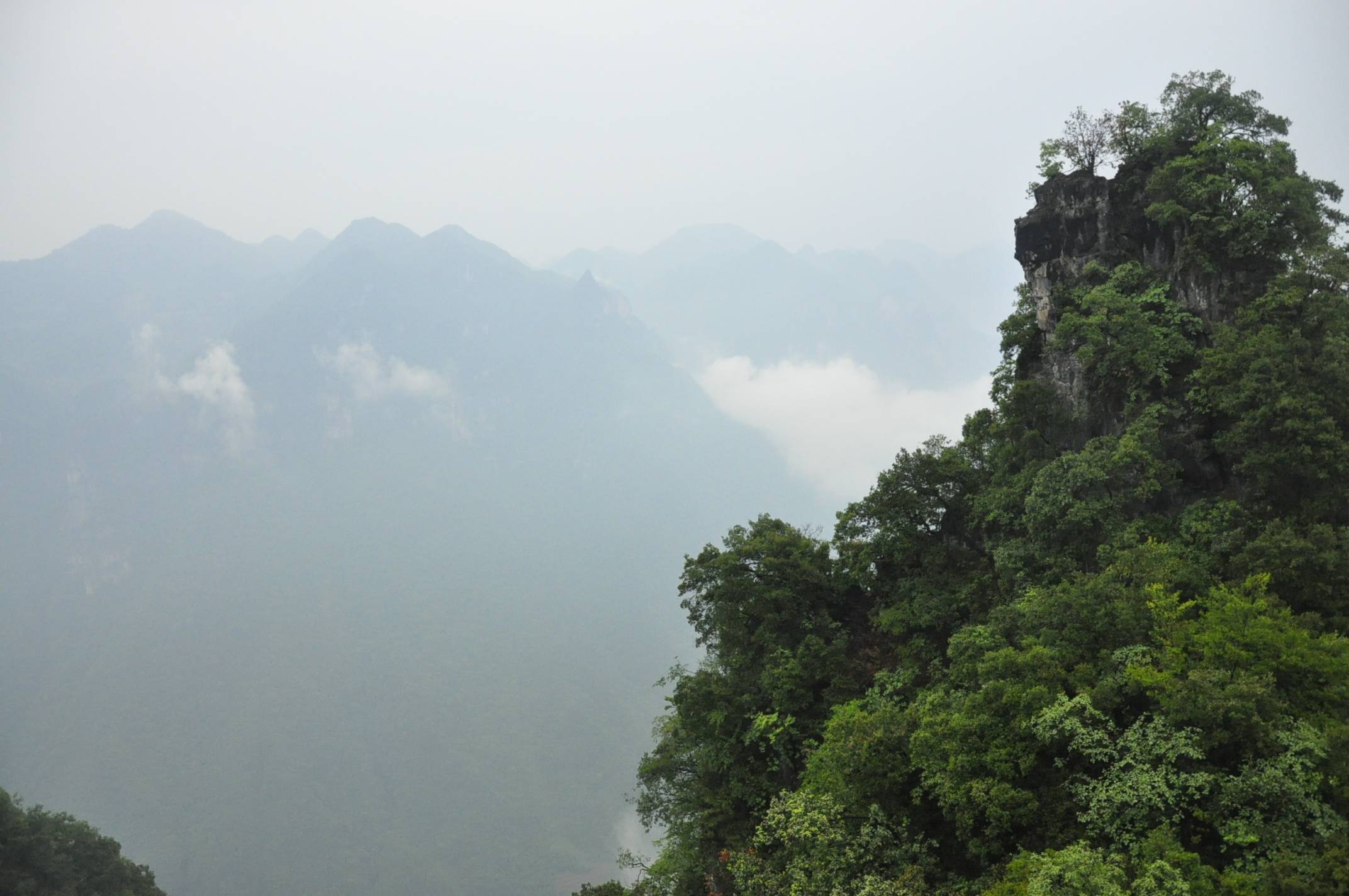 20116.4-6彭 035.jpg