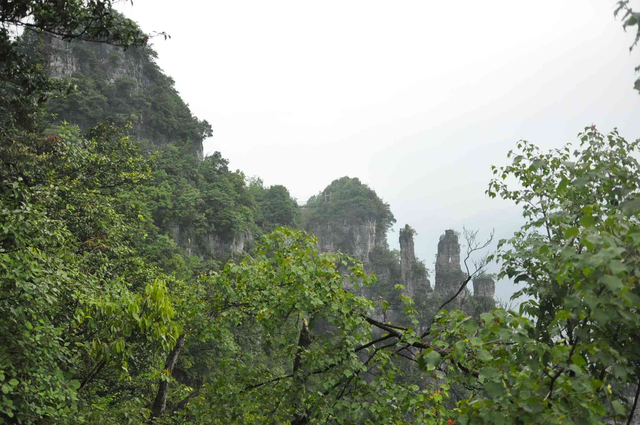 20116.4-6彭 052.jpg