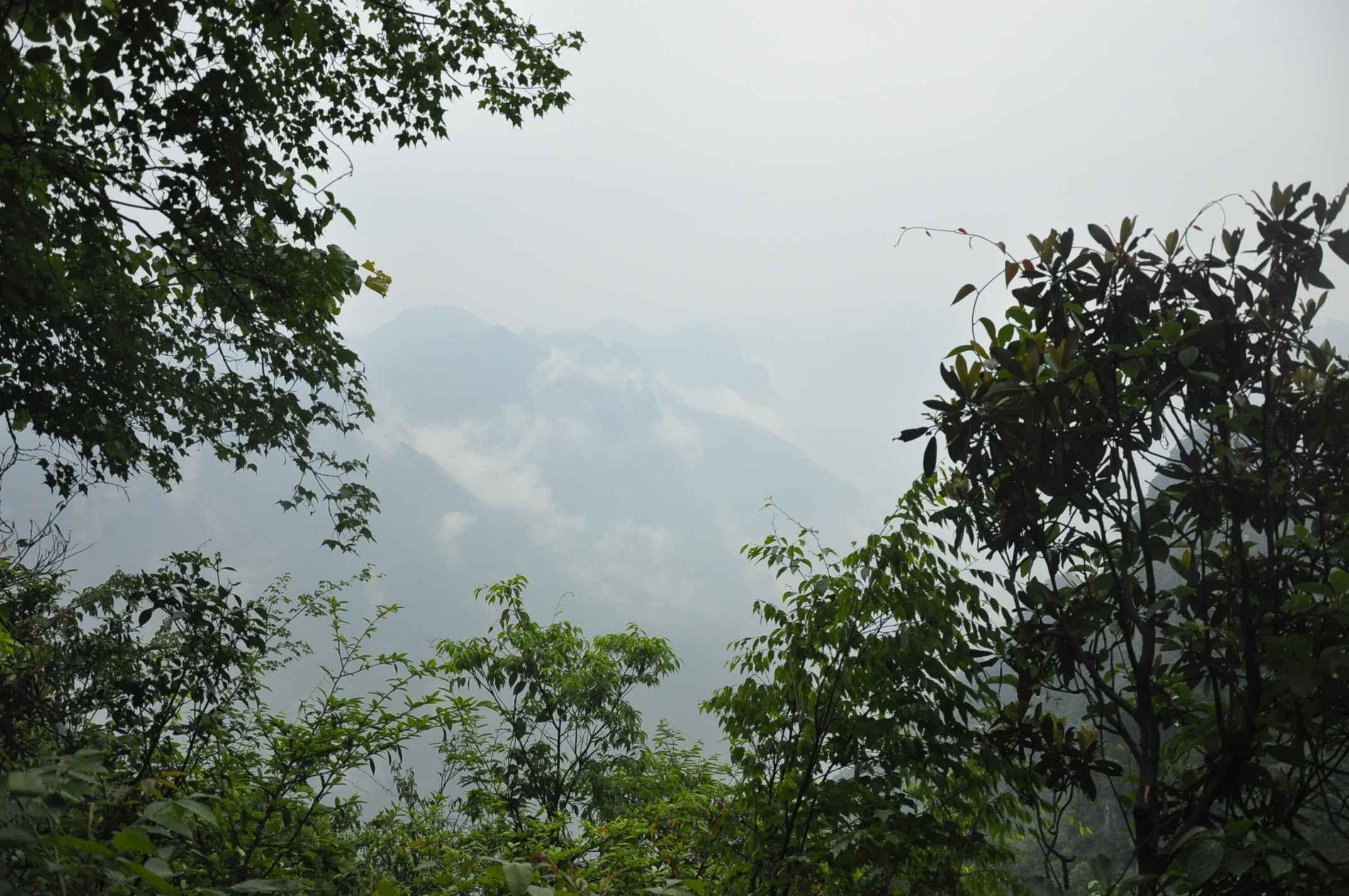 20116.4-6彭 066.jpg
