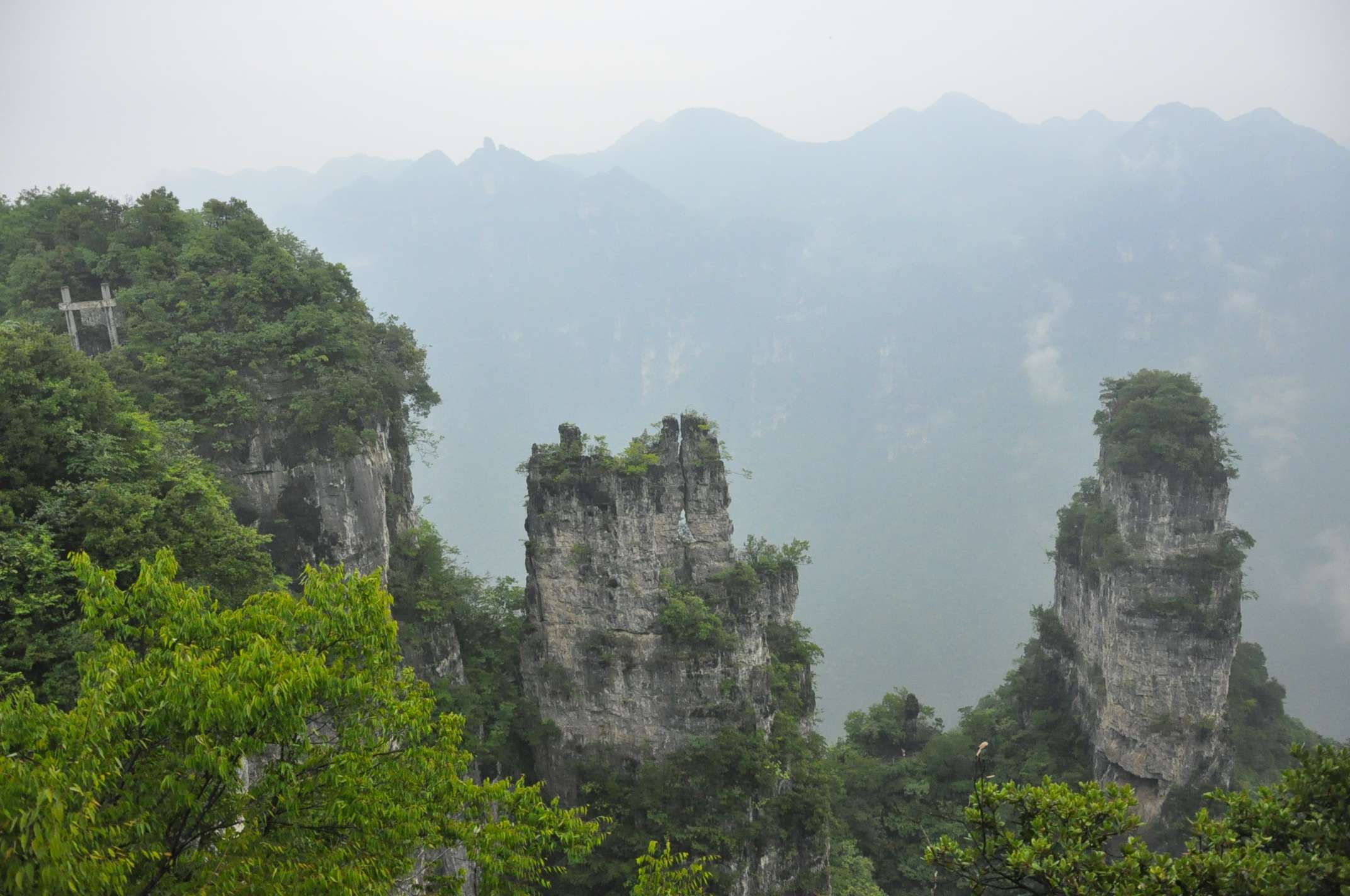 20116.4-6彭 067.jpg
